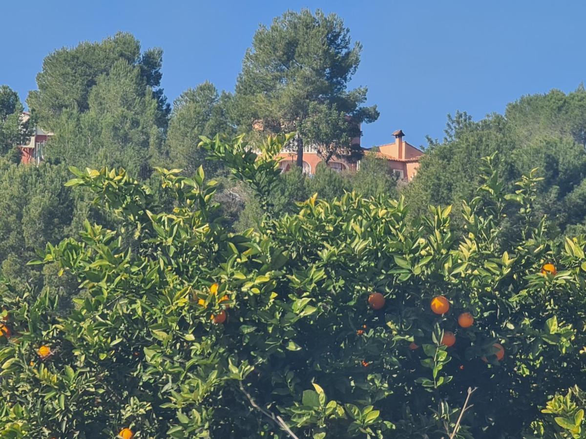 Chateau Angelique Valencia Exterior foto